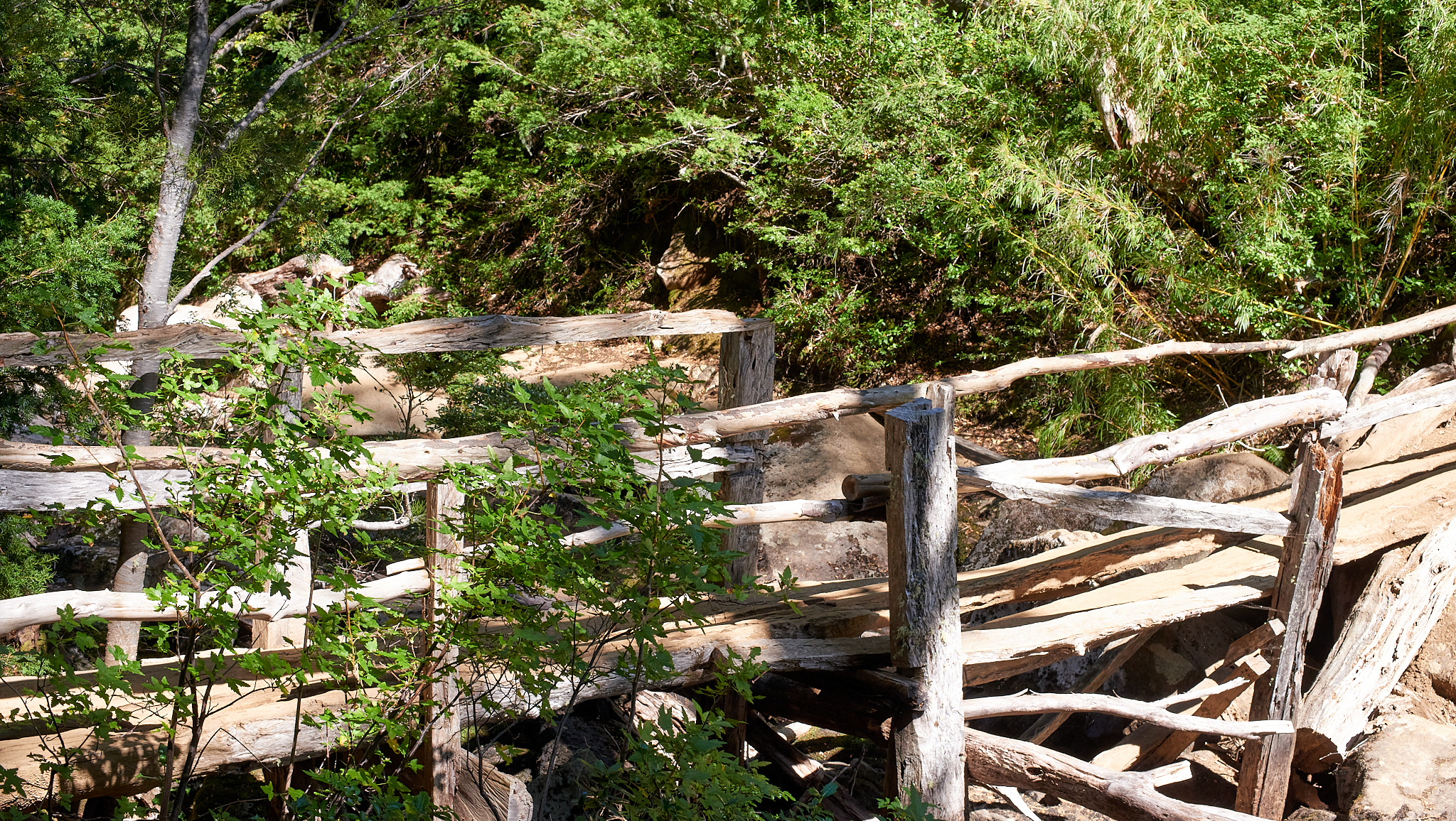 20200317 880 [칠레] 푸콘 우에르케우에 국립공원 트레킹